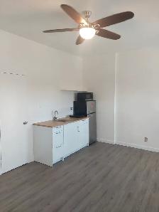 BACHELOR/STUDIO APARTMENT WITH PRIVATE ENTRANCE IN A HOUSE