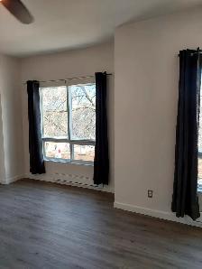 BACHELOR/STUDIO APARTMENT WITH PRIVATE ENTRANCE IN A HOUSE - Photo 3