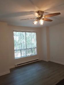 BACHELOR/STUDIO APARTMENT WITH PRIVATE ENTRANCE IN A HOUSE - Photo 5