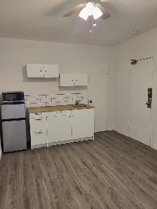 BACHELOR/STUDIO APARTMENT WITH PRIVATE ENTRANCE IN A HOUSE - Photo 7