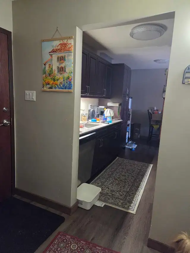 1BR 1 bath apt for May 1st $1510.00 - Photo 3