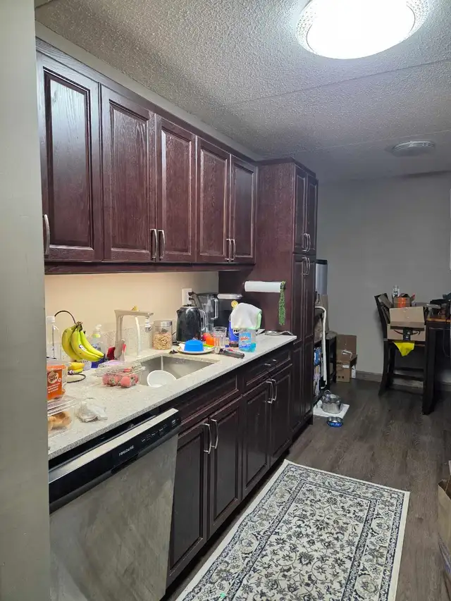 1BR 1 bath apt for May 1st $1510.00 - Photo 4