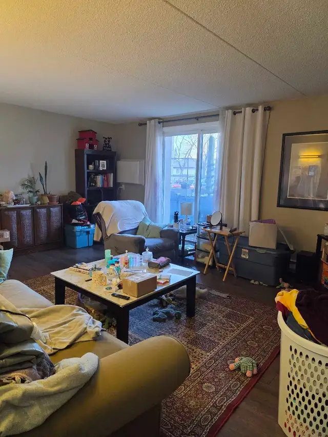 1BR 1 bath apt for May 1st $1510.00 - Photo 6