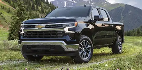 2022 Chevrolet Silverado 1500 Custom Trail Boss Crew Cab