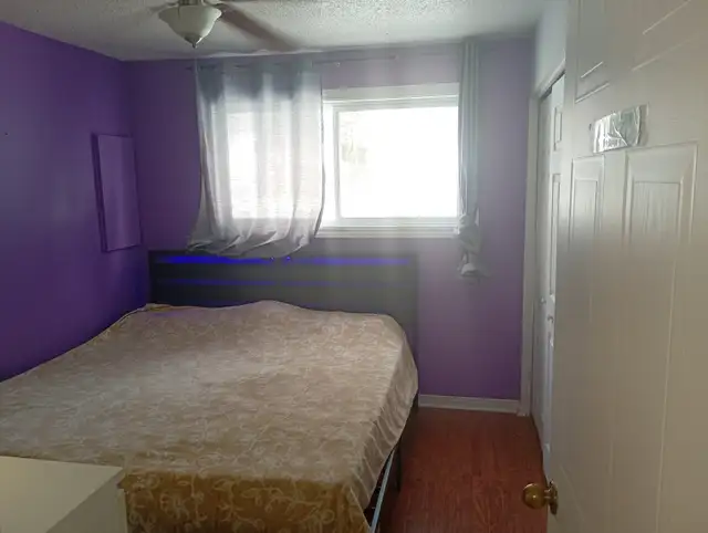 Chambre meublée 530$