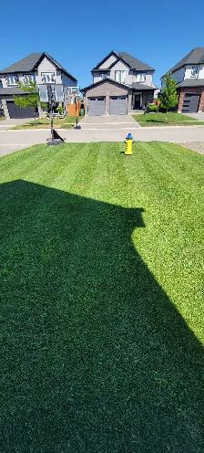 Lawn Care – Weekly Cuts Starting at $40 (St. Thomas)