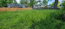 Lawn Care – Weekly Cuts Starting at $40 (St. Thomas) - Photo 2