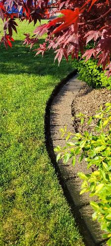 Lawn Care – Weekly Cuts Starting at $40 (St. Thomas) - Photo 5