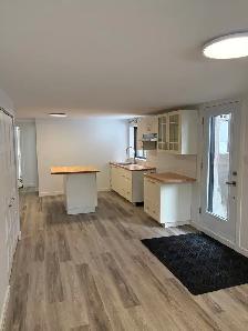 S-SOL D'UN DUPLEX. NEUF. TRÈS GRAND 4 ET DEMI