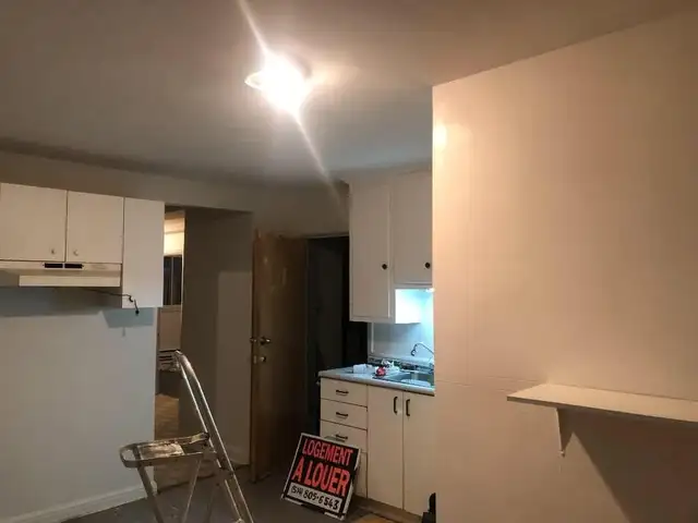 Beau 4 1/2 dans le coeur de Rosemont / La Petite Patrie