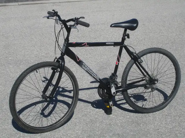 NICE ADULT 26' TRIUMPH CHALLENGER 18 SPEED MOUNTAIN BIKE!