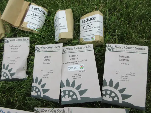 Garden Seeds of a Great Variety - Photo 3