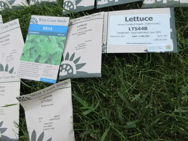 Garden Seeds of a Great Variety - Photo 4