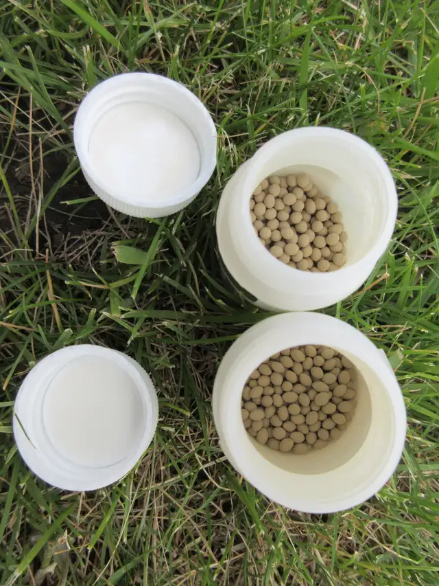 Garden Seeds of a Great Variety - Photo 7