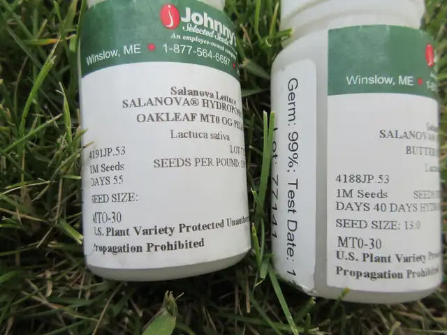 Garden Seeds of a Great Variety - Photo 8