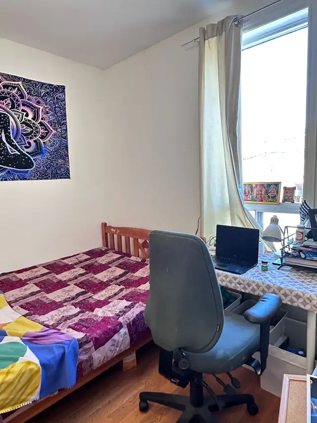 sharing room accommodation at college & bathurast from may 1st - Photo 5