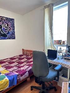 sharing room accommodation at college & bathurast from may 1st - Photo 5