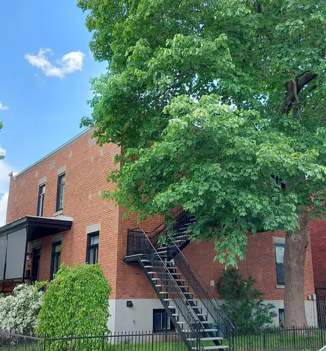 4 ½ Lumineux & Entièrement Rénové | Vieux-Rosemont