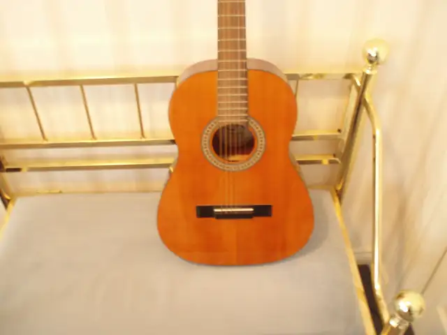 ACOUSTIC GUITAR - EXCELLENT CONDITION - Photo 2