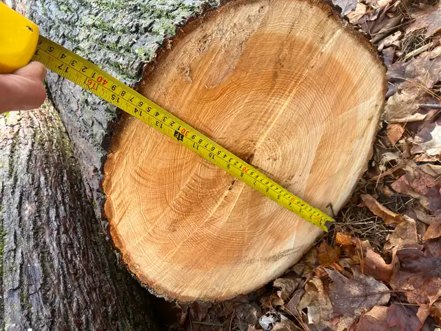 Basswood Logs - Photo 3