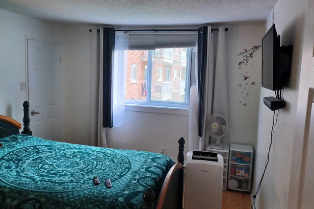 3 1/2 Secteur Mont-Bleu, Idéal pour un premier appartement - Photo 4