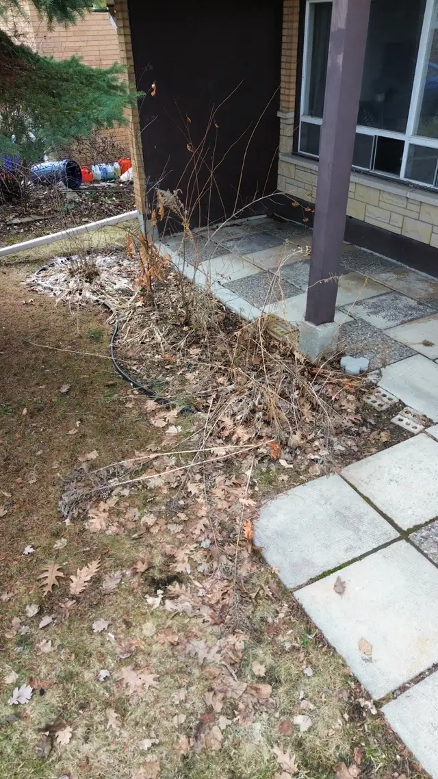 Need part time help - Photo 2