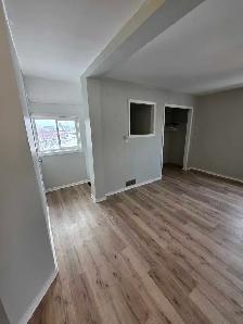 Newly Renovated 1 Bedroom Apartment