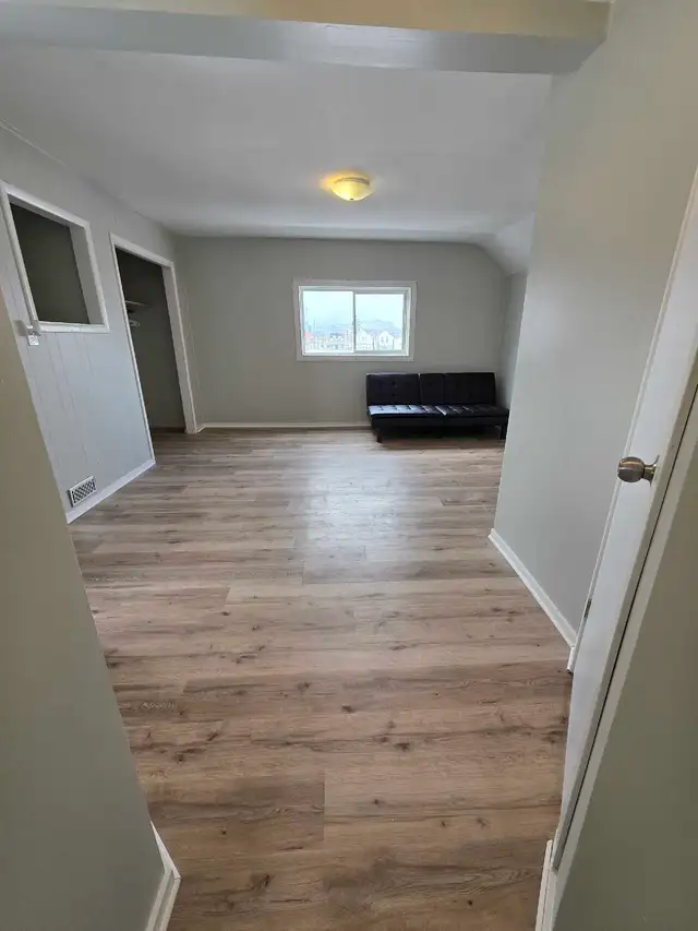 Newly Renovated 1 Bedroom Apartment - Photo 6