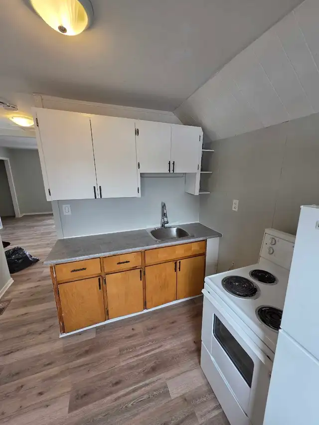 Newly Renovated 1 Bedroom Apartment - Photo 7