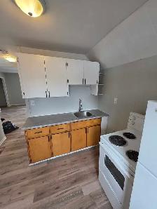 Newly Renovated 1 Bedroom Apartment - Photo 7