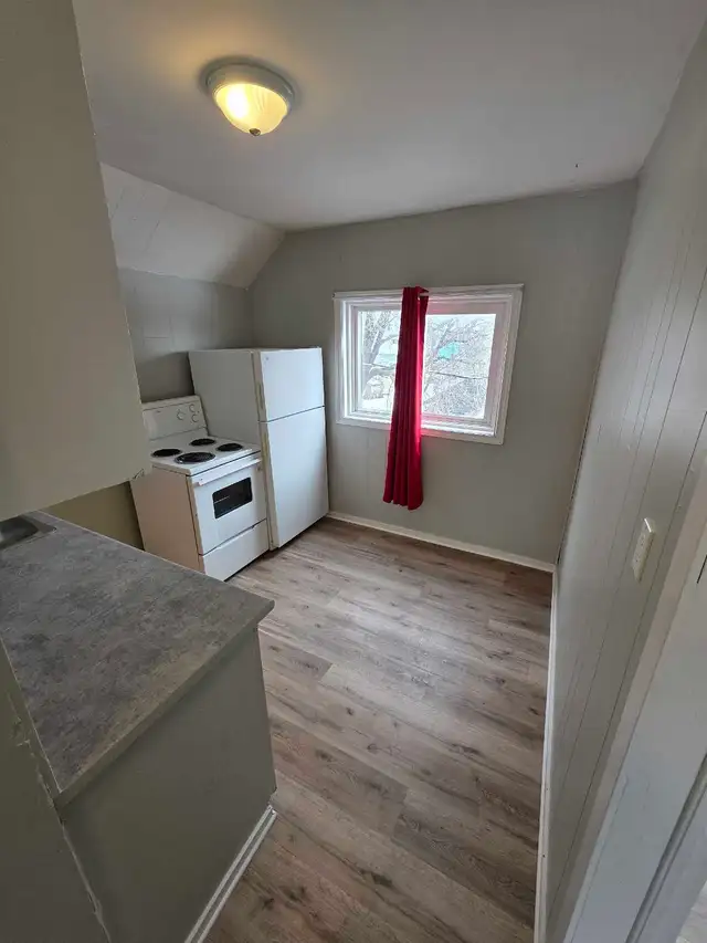 Newly Renovated 1 Bedroom Apartment - Photo 8