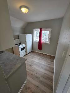 Newly Renovated 1 Bedroom Apartment - Photo 8
