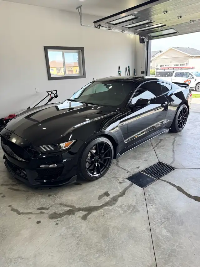 2016 Ford Mustang Shelby GT350