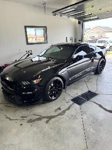 2016 Ford Mustang Shelby GT350