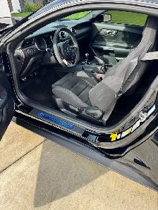 2016 Ford Mustang Shelby GT350 - Photo 2