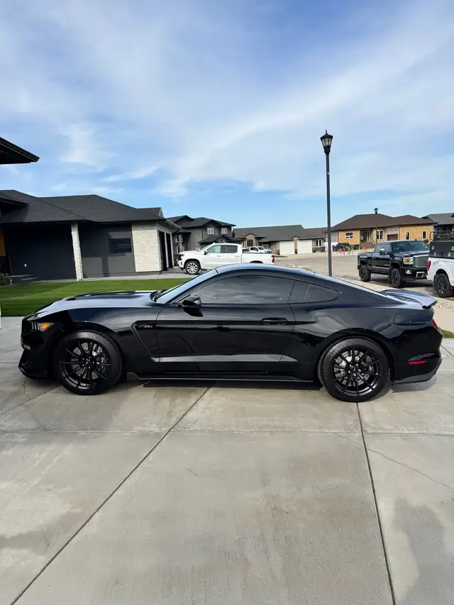 2016 Ford Mustang Shelby GT350 - Photo 3