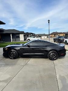 2016 Ford Mustang Shelby GT350 - Photo 3