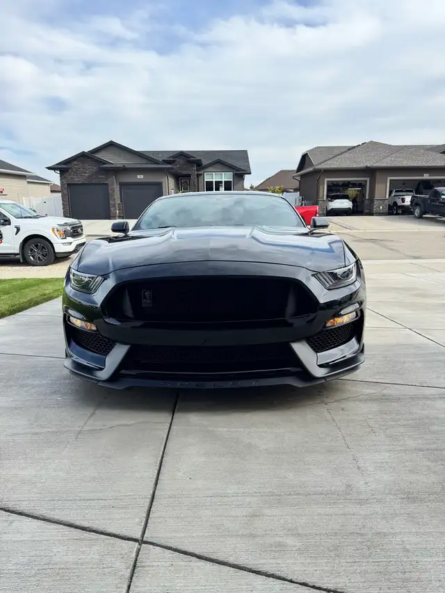 2016 Ford Mustang Shelby GT350 - Photo 4