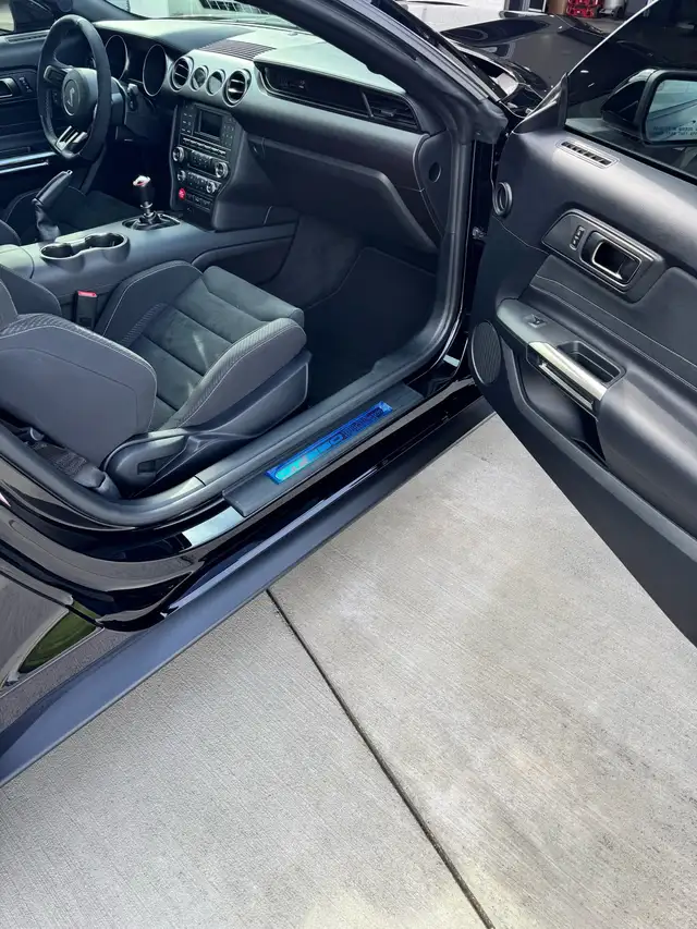 2016 Ford Mustang Shelby GT350 - Photo 6