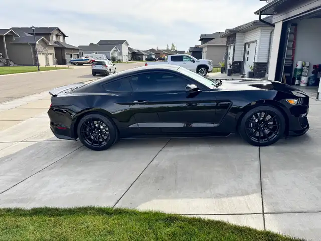 2016 Ford Mustang Shelby GT350 - Photo 7