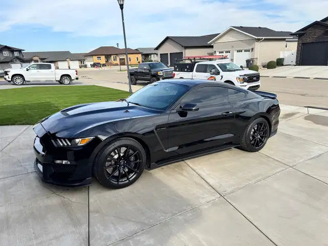 2016 Ford Mustang Shelby GT350 - Photo 8