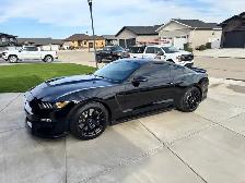 2016 Ford Mustang Shelby GT350 - Photo 8