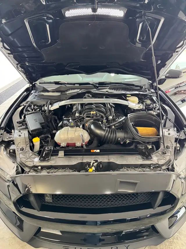 2016 Ford Mustang Shelby GT350 - Photo 9