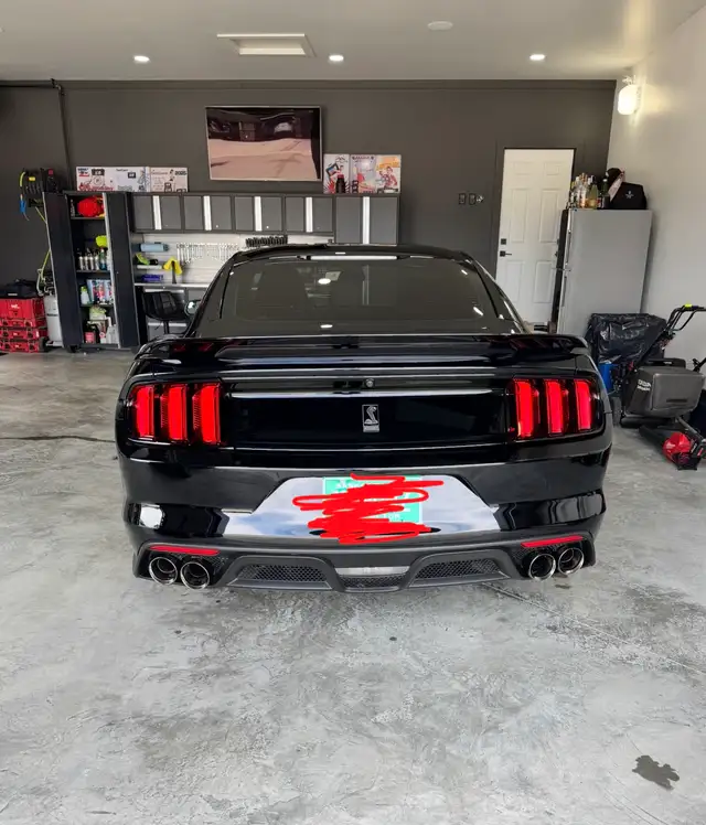 2016 Ford Mustang Shelby GT350 - Photo 10