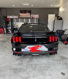 2016 Ford Mustang Shelby GT350 - Photo 10