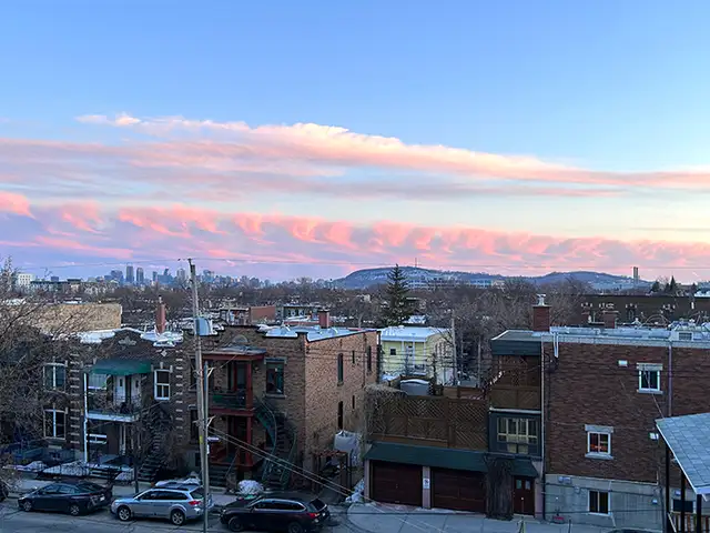 3 ½ Vieux-Rosemont – rue Holt  H1Y 1R1 - Photo 9