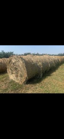 Hay for sale-