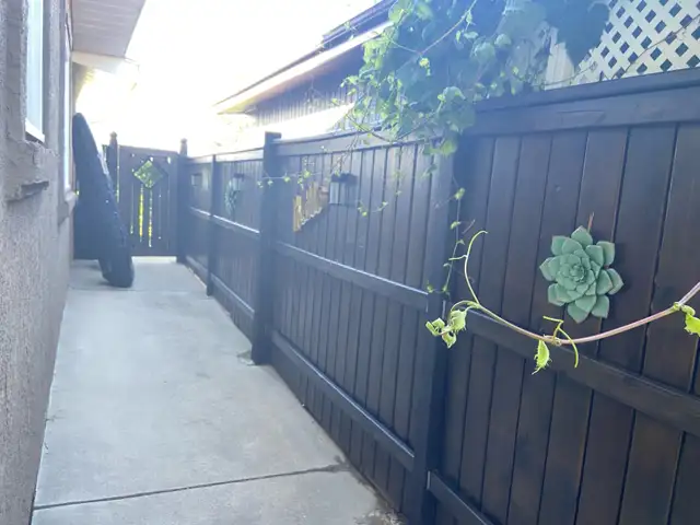 Deck & Fence staining - Photo 5