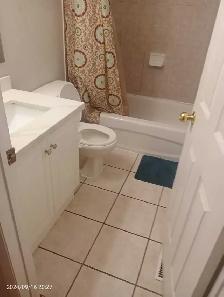 Room for rent in Mississauga (private/sharing) - Photo 4