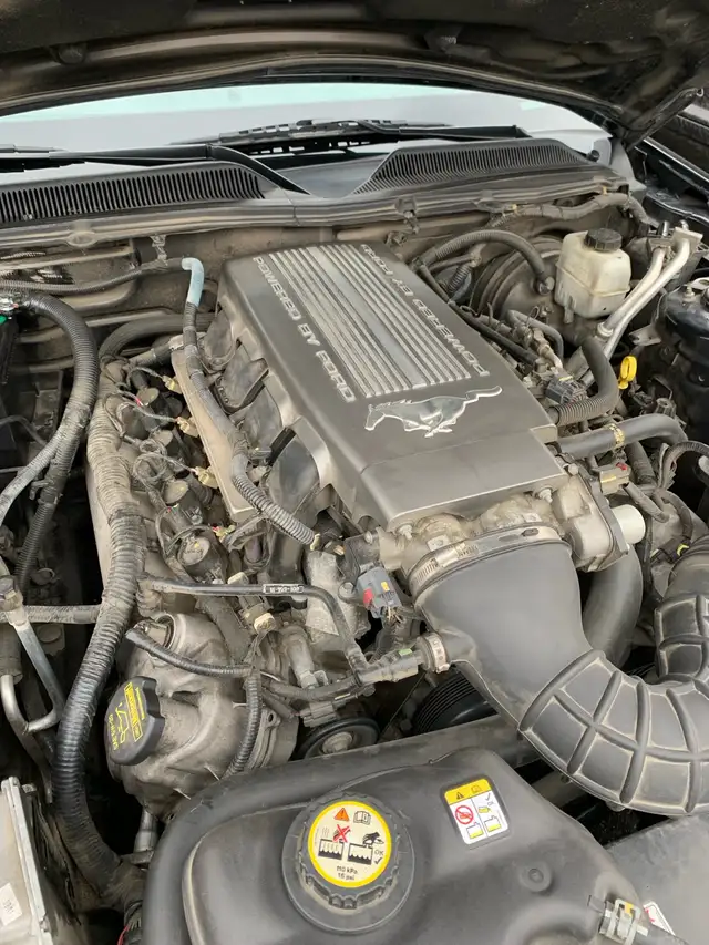 Mustang GT/CS - Photo 5